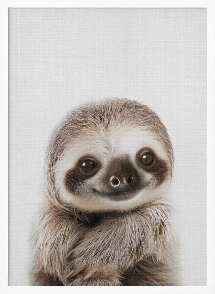 Sweet Baby Sloth Smile