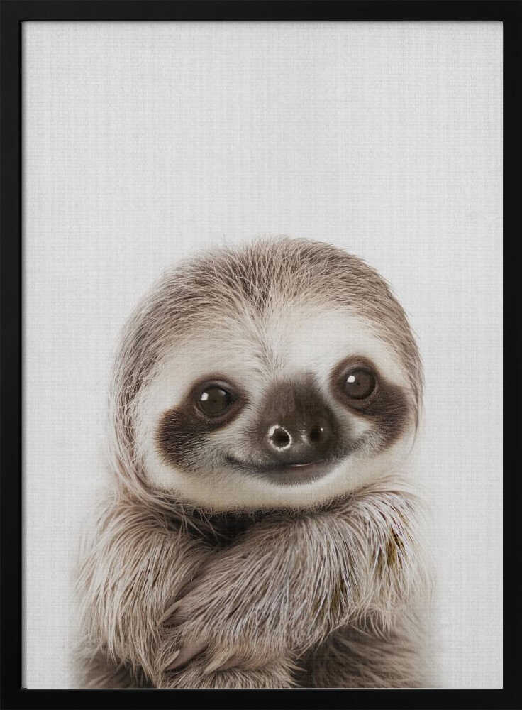 Sweet Baby Sloth Smile