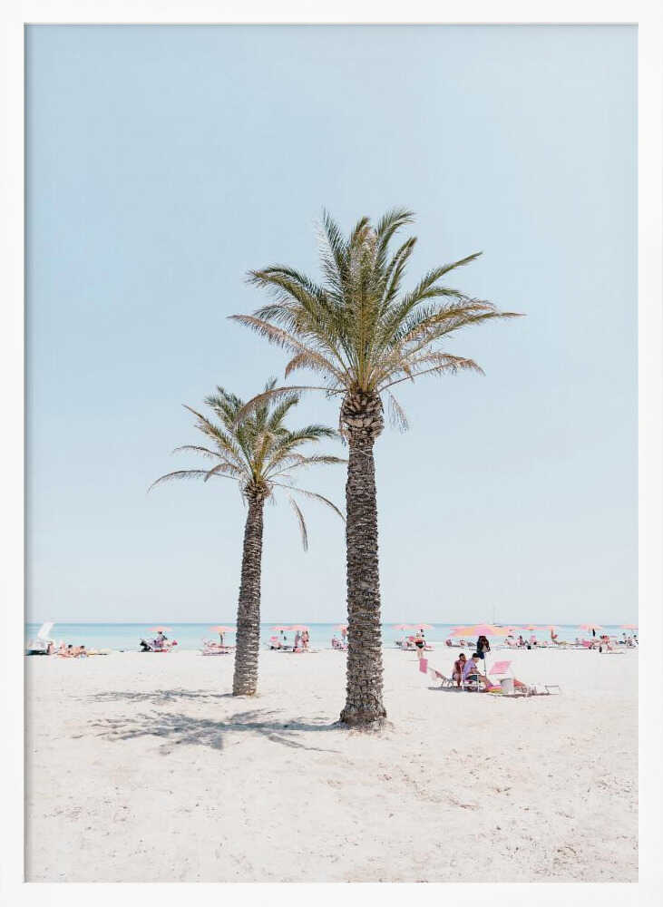 Tropical Palm Beach