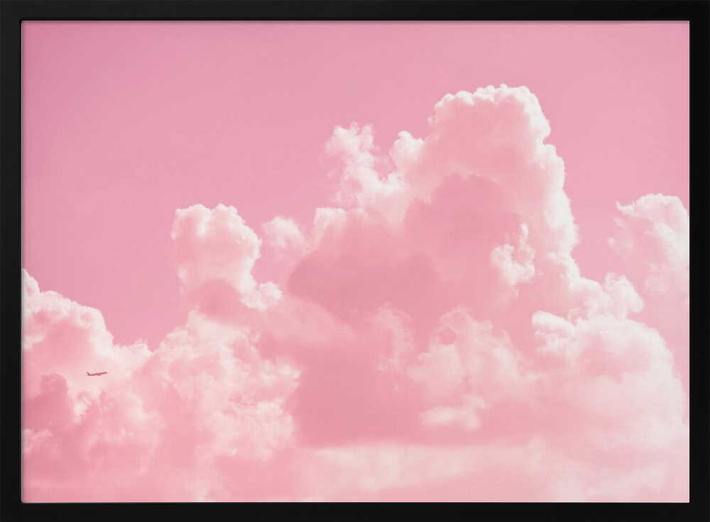Pastel Sky Flight