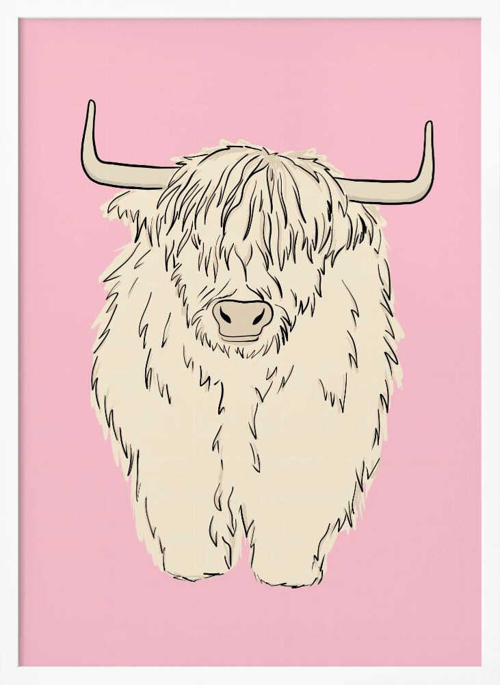 Pink Highland Coo