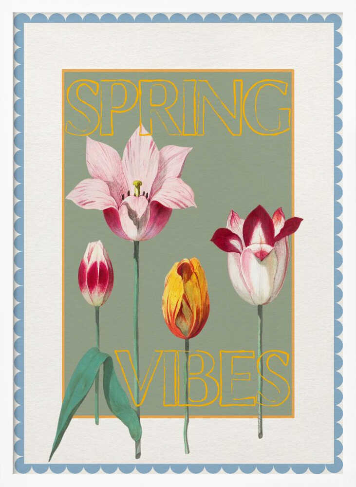 Spring Tulips Vibes