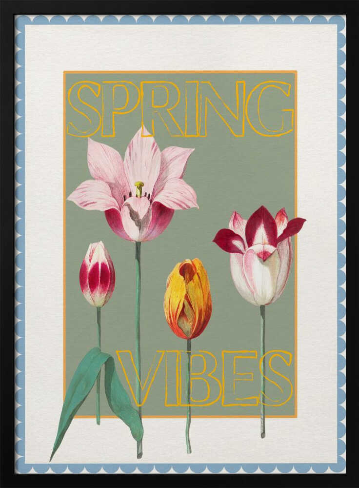 Spring Tulips Vibes