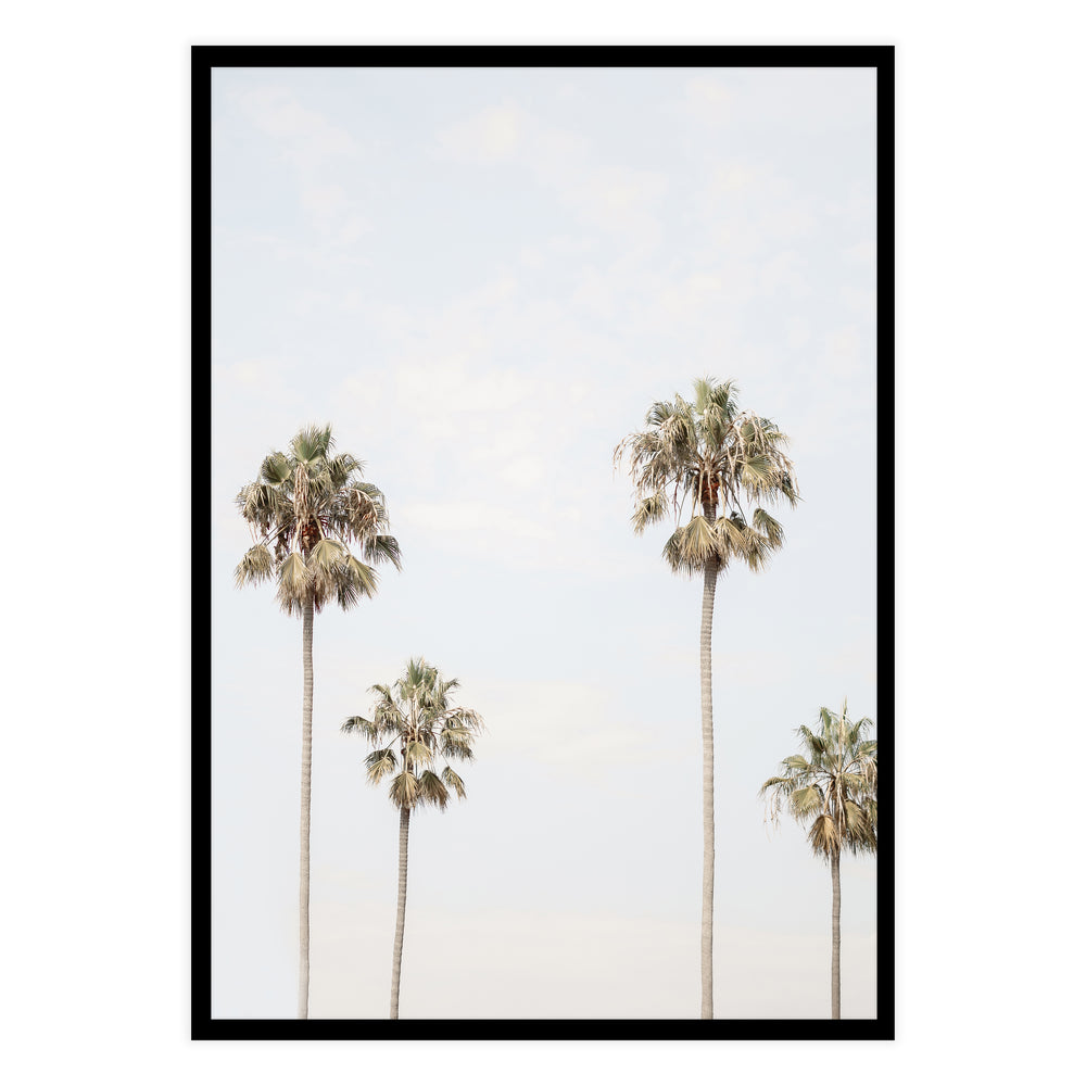Four Palm Photographic Print