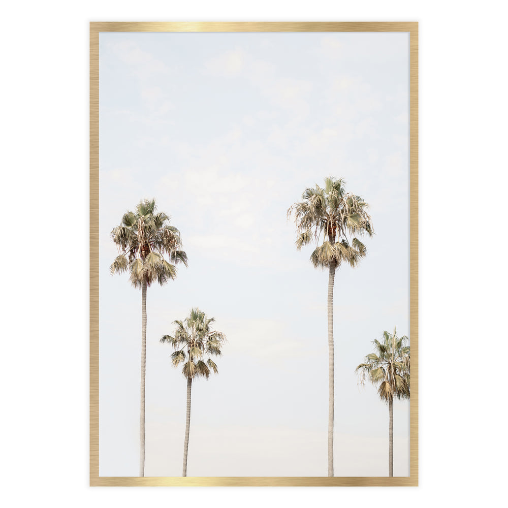 Four Palm Photographic Print