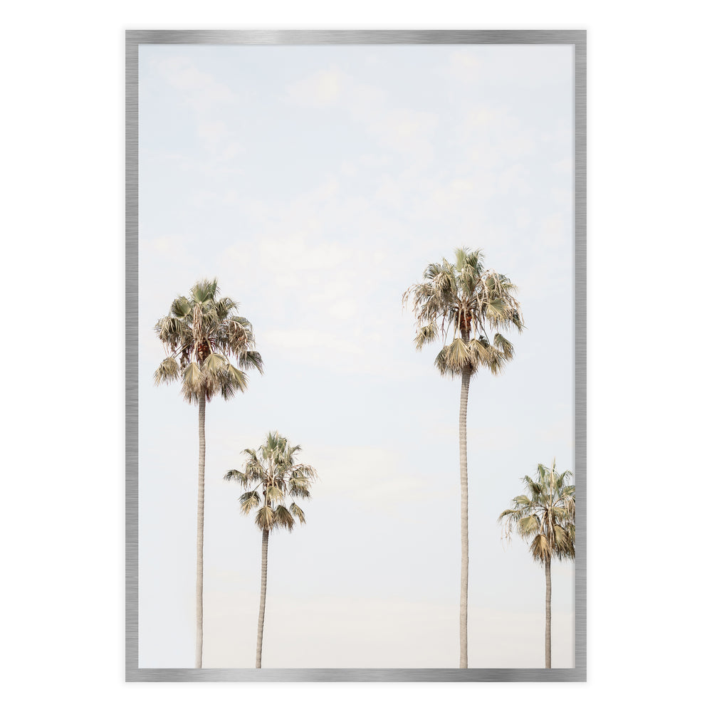 Four Palm Photographic Print
