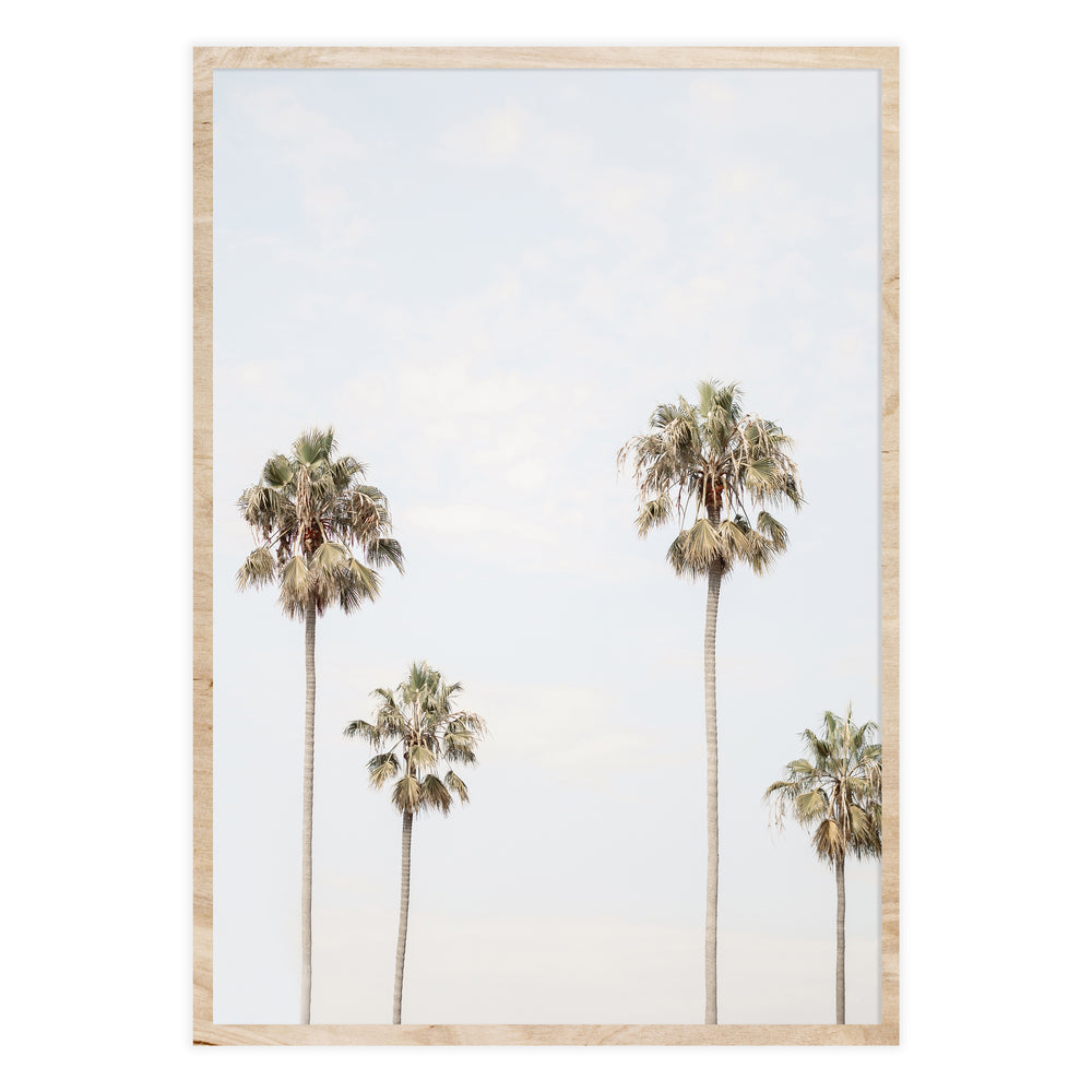 Four Palm Photographic Print