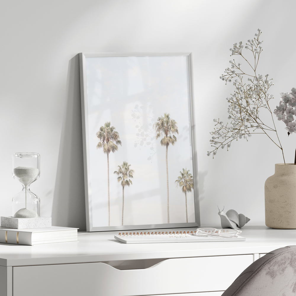 Four Palm Photographic Print