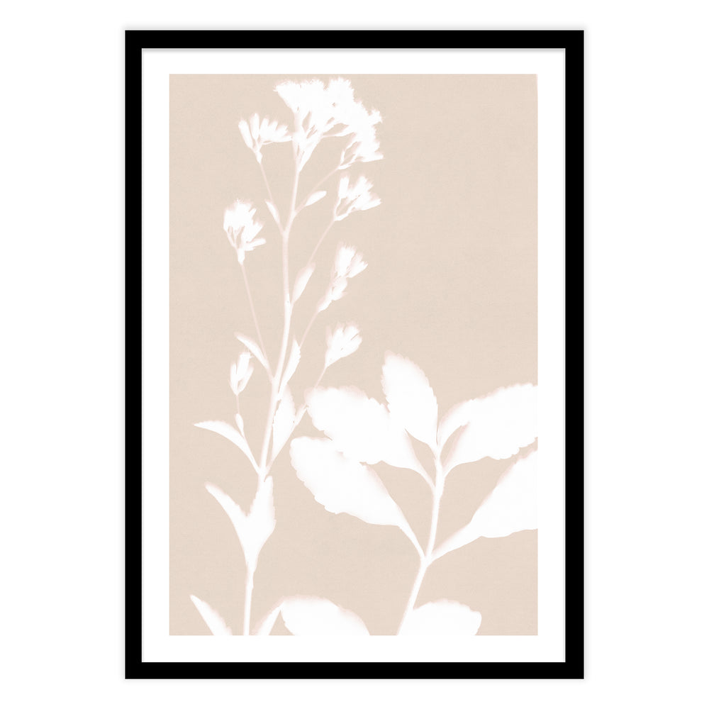 Neutral Bloom Botanic Print