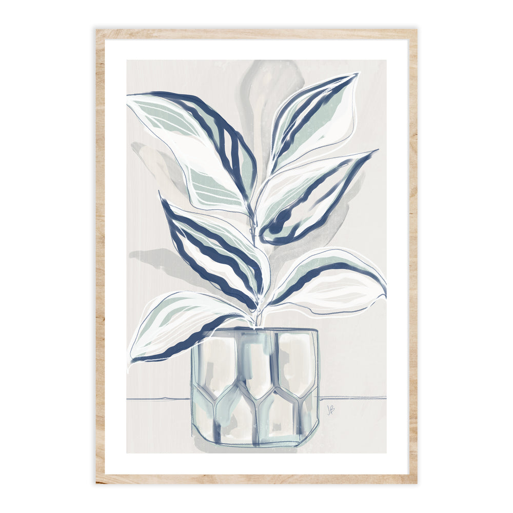 House Plant Wall Art Set - Calathea