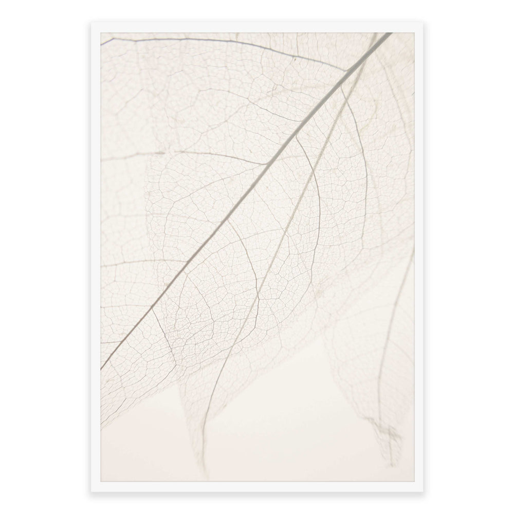Calm Close Up Leaf Photographic Print 01