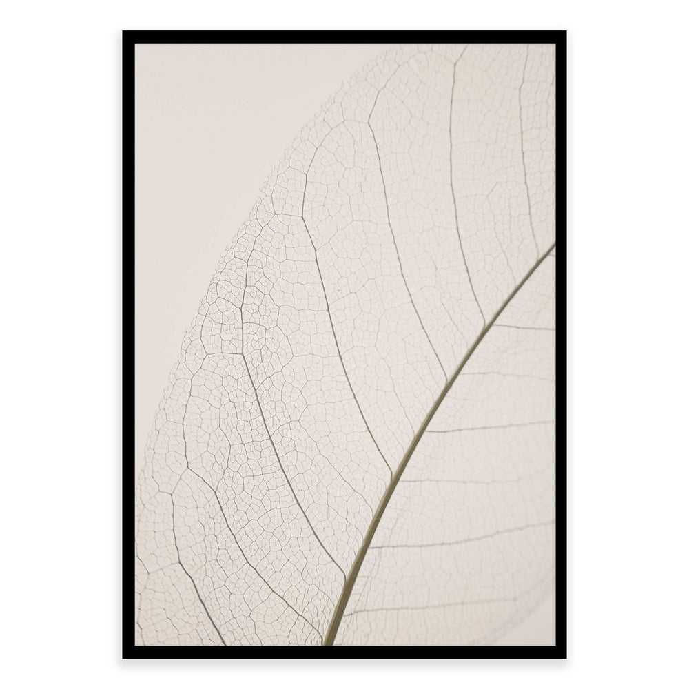 Calm Close Up Leaf Photographic Print 02