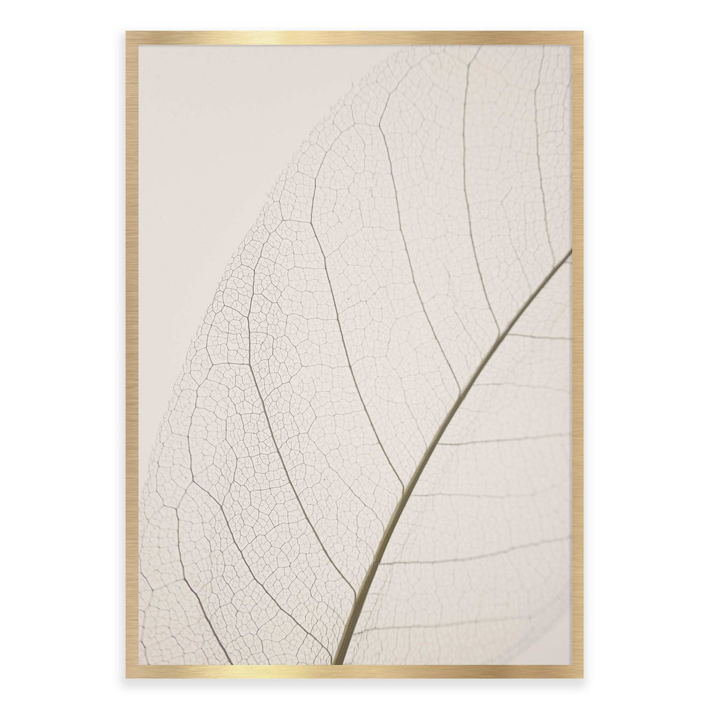 Calm Close Up Leaf Photographic Print 02