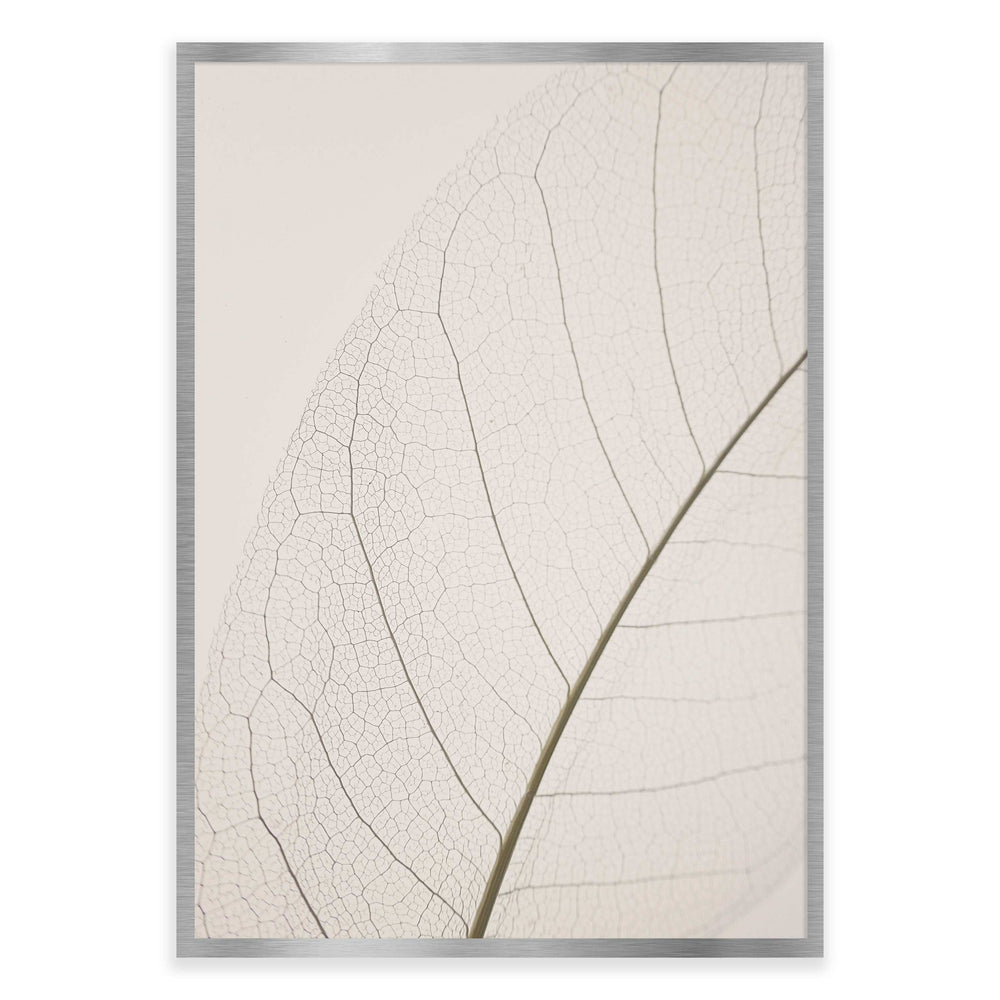 Calm Close Up Leaf Photographic Print 02