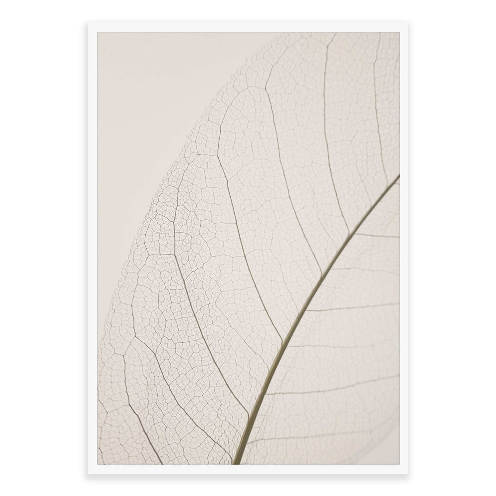 Calm Close Up Leaf Photographic Print 02