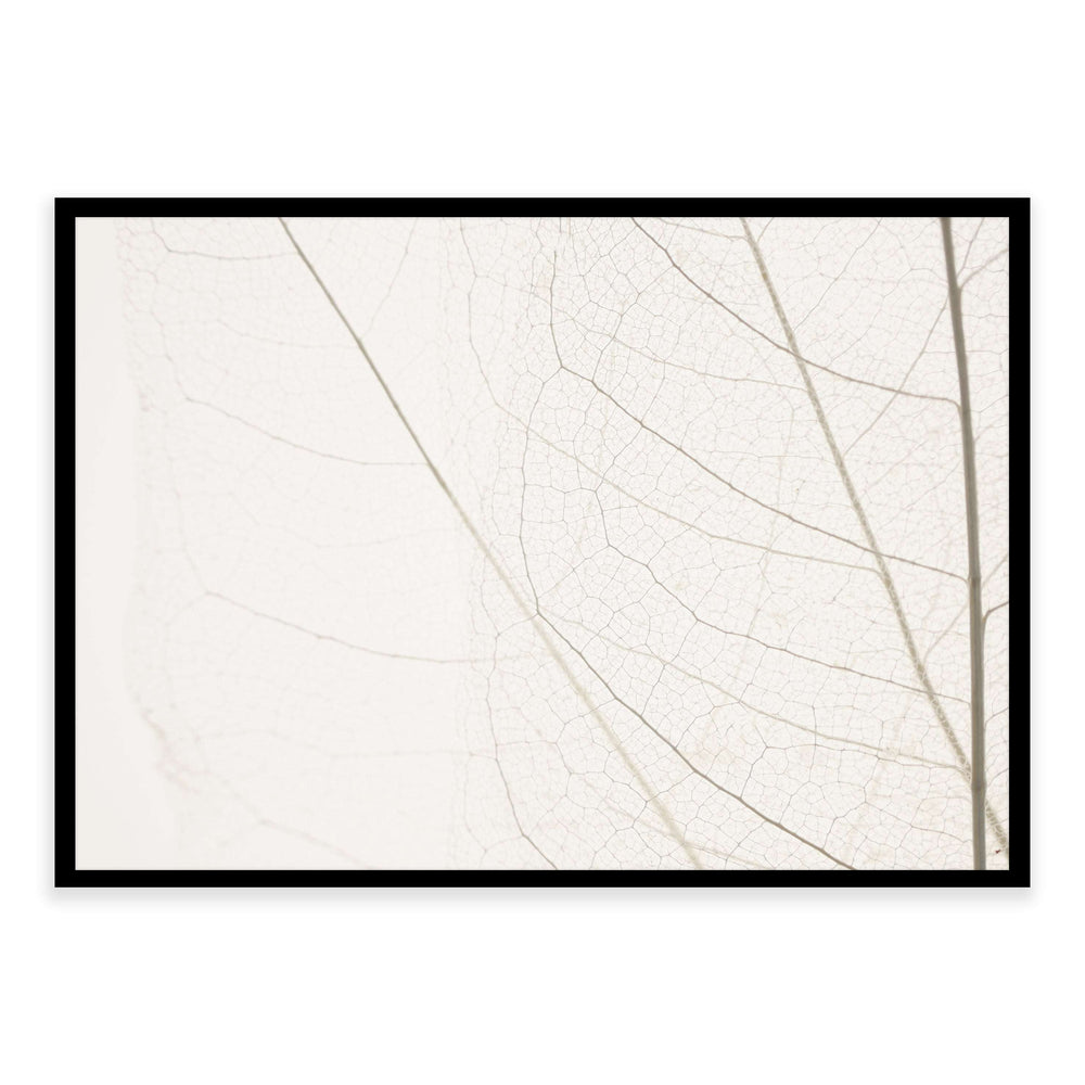 Calm Close Up Leaf Photographic Print 03