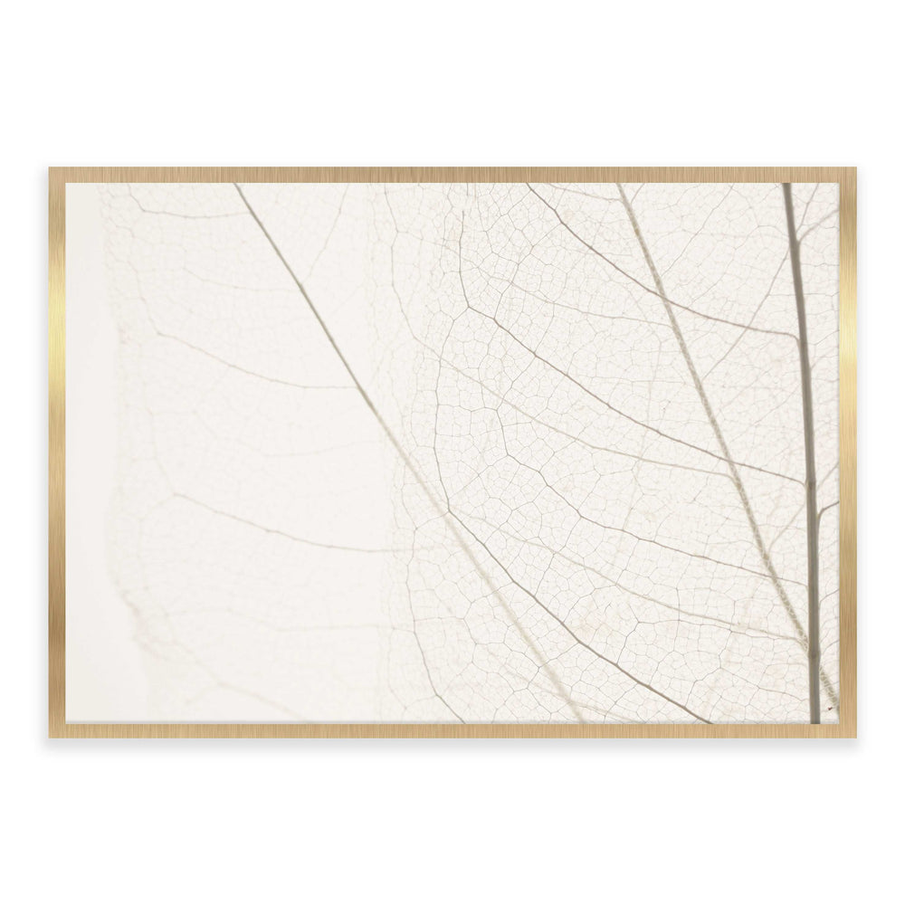 Calm Close Up Leaf Photographic Print 03