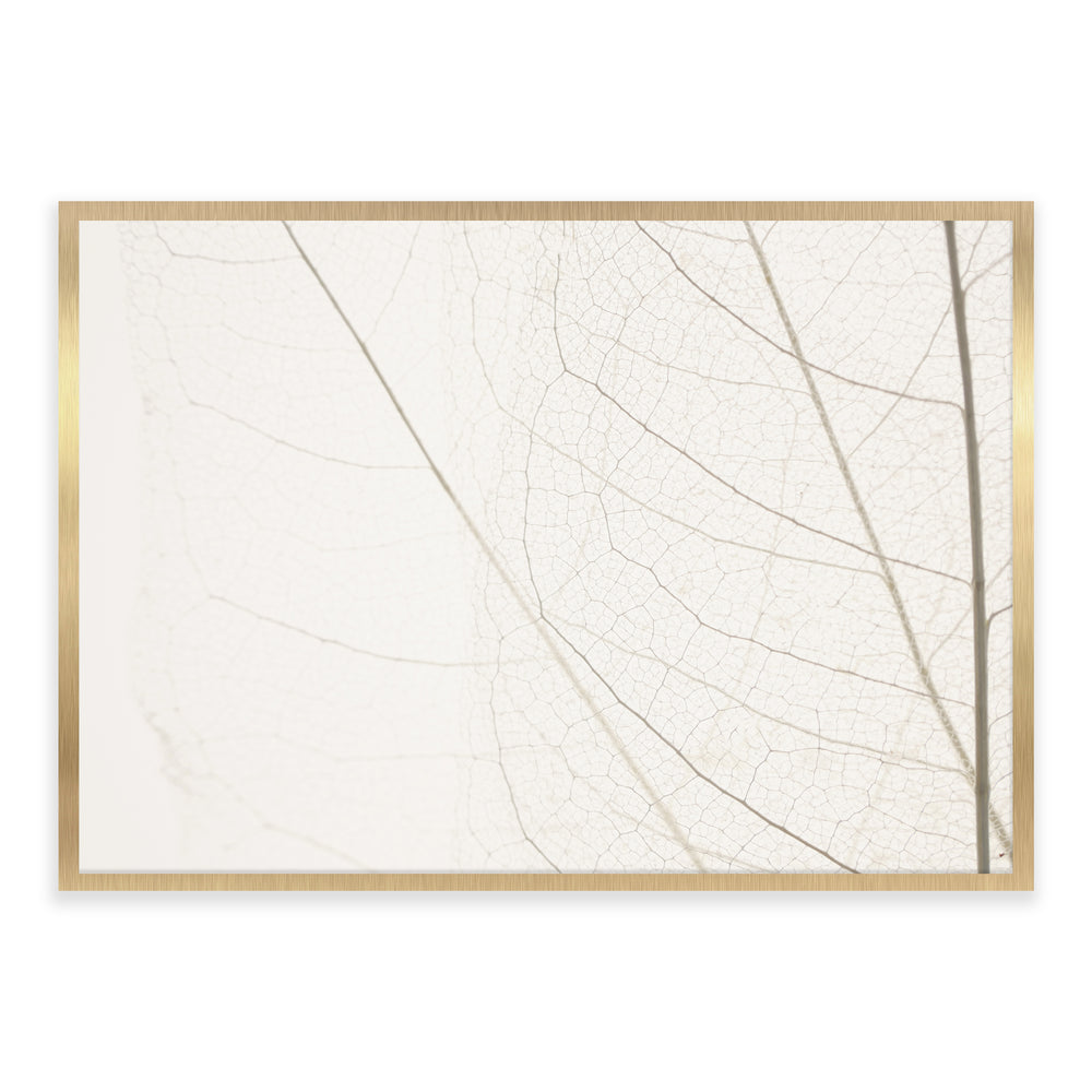 Calm Close Up Leaf Photographic Print 03