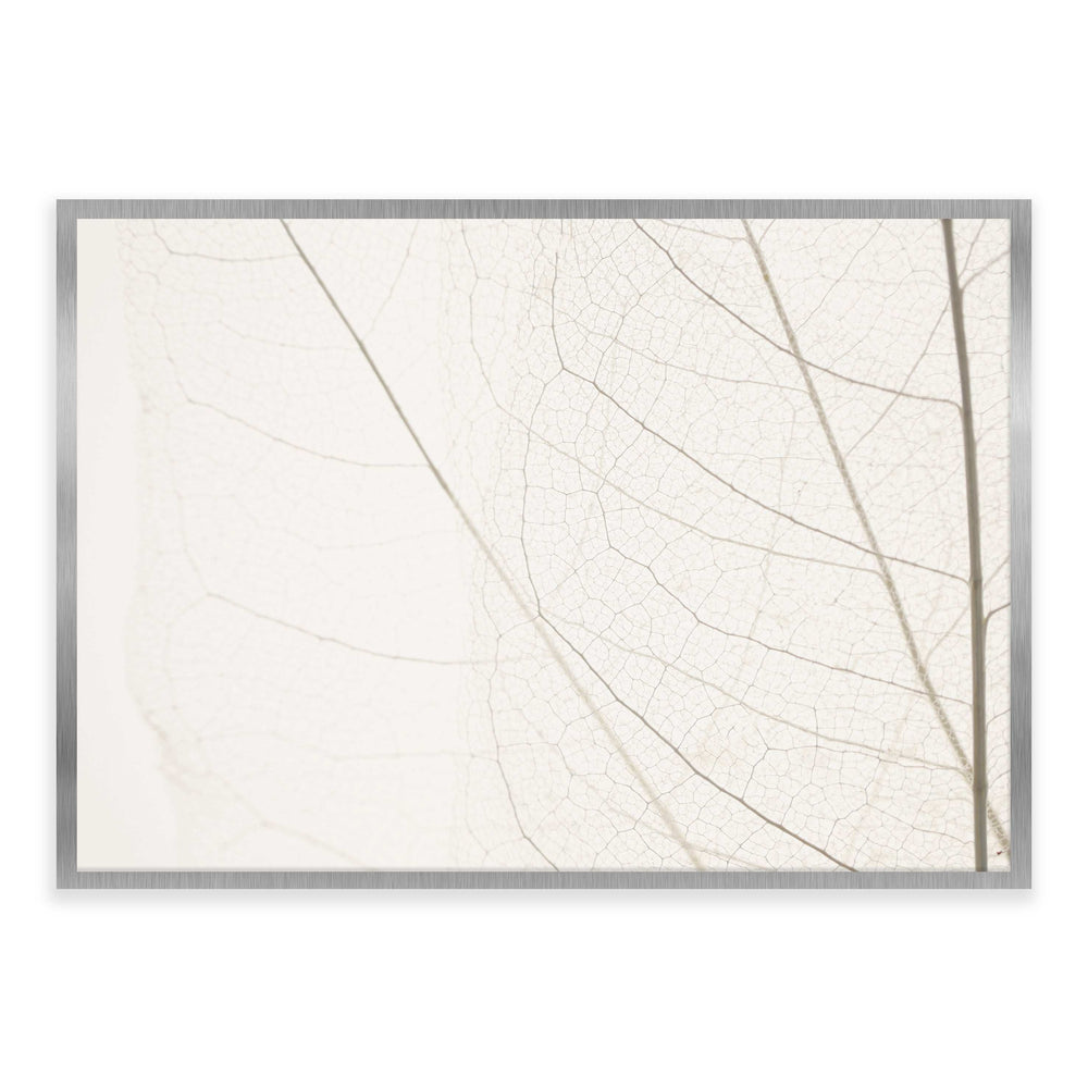 Calm Close Up Leaf Photographic Print 03