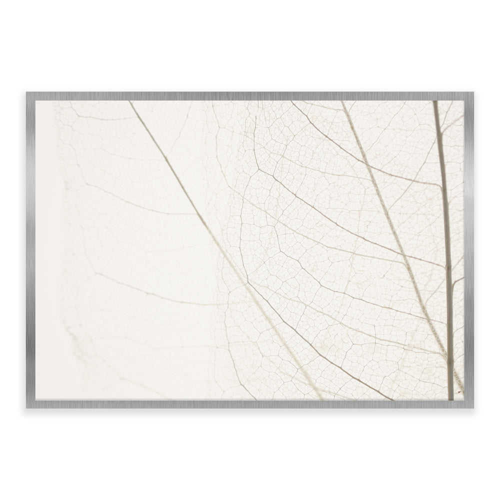 Calm Close Up Leaf Photographic Print 03