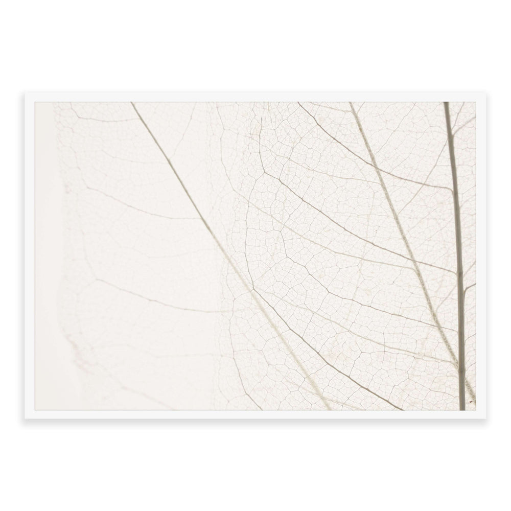 Calm Close Up Leaf Photographic Print 03