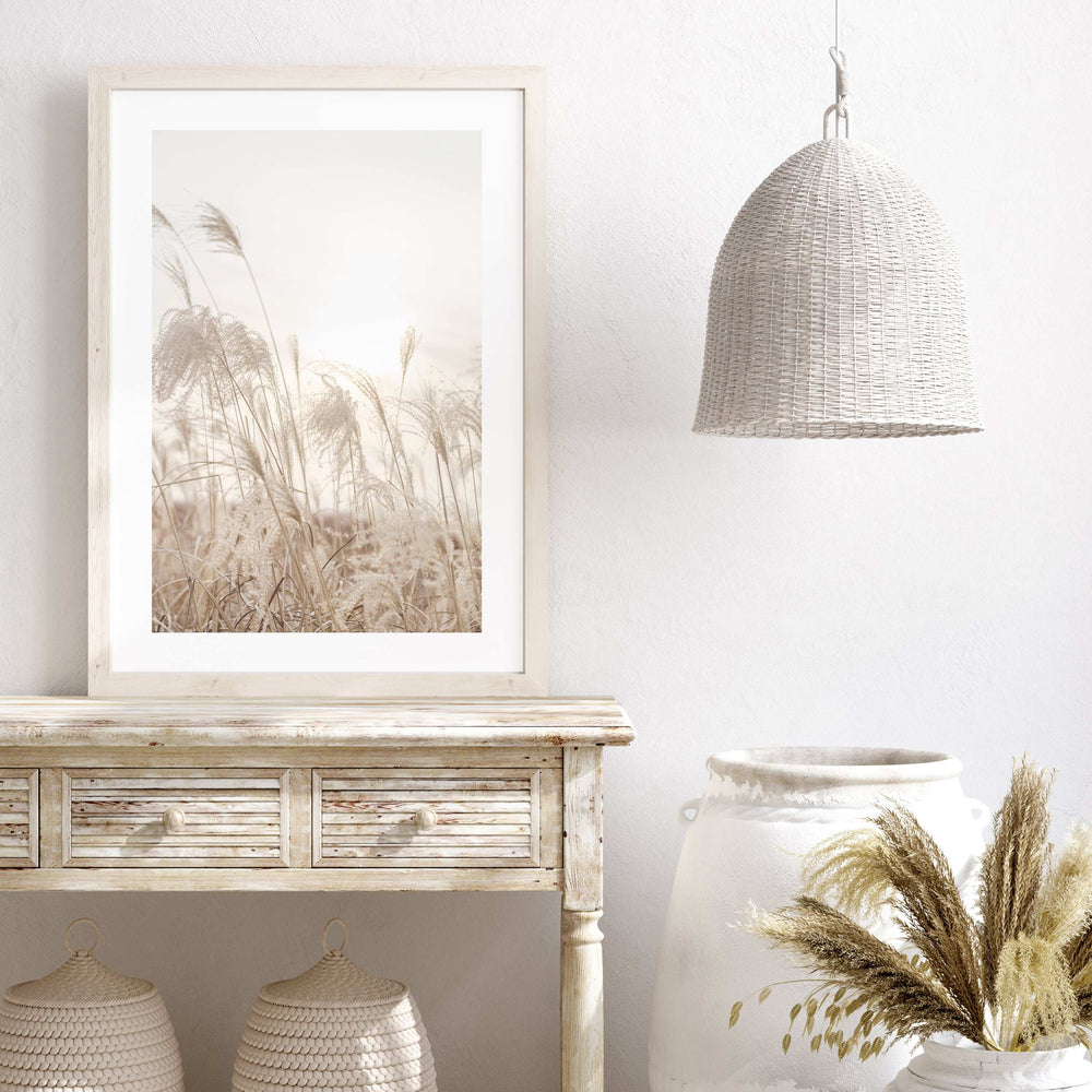 Field Of Grasses Photography