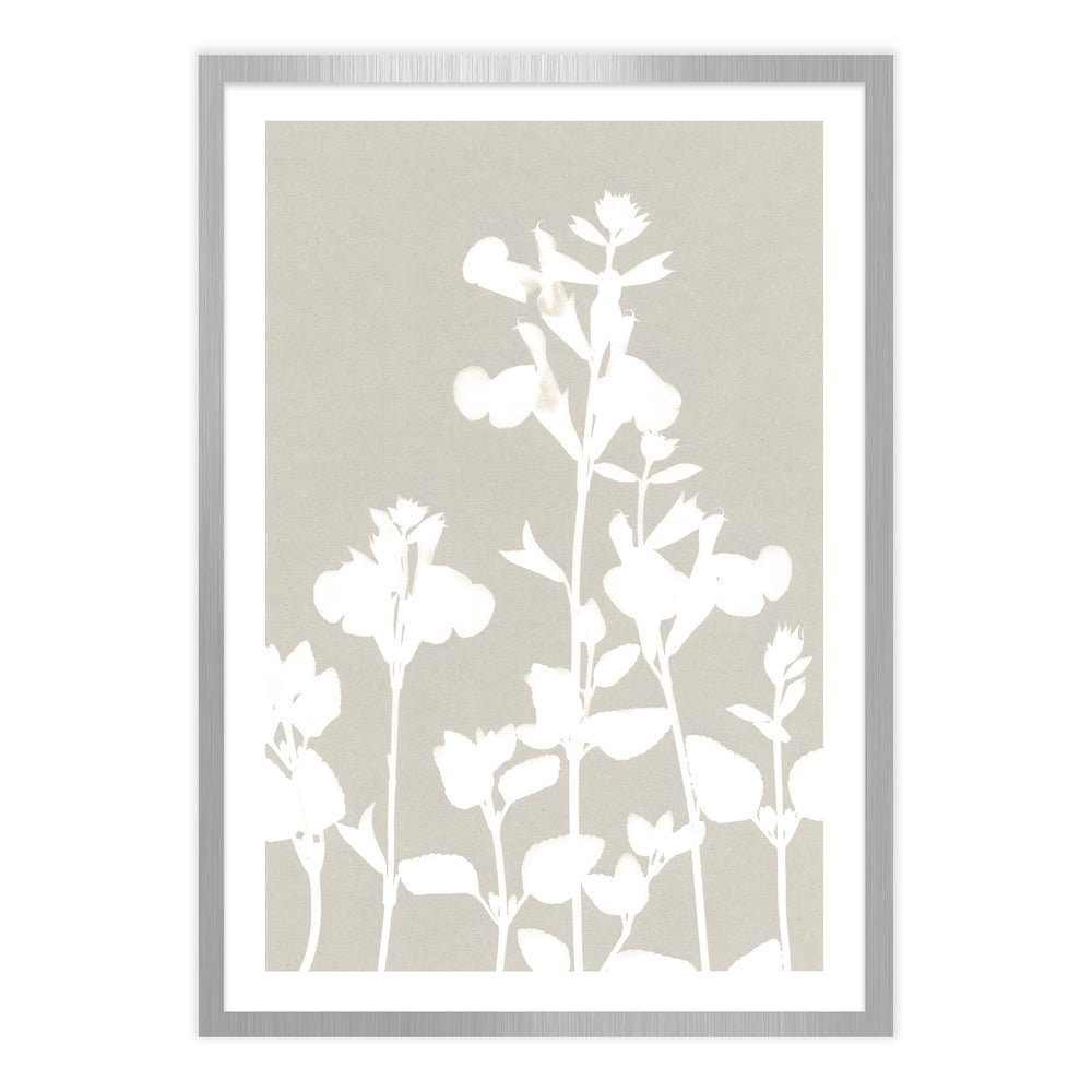 Neutral Flourish Botanic Print