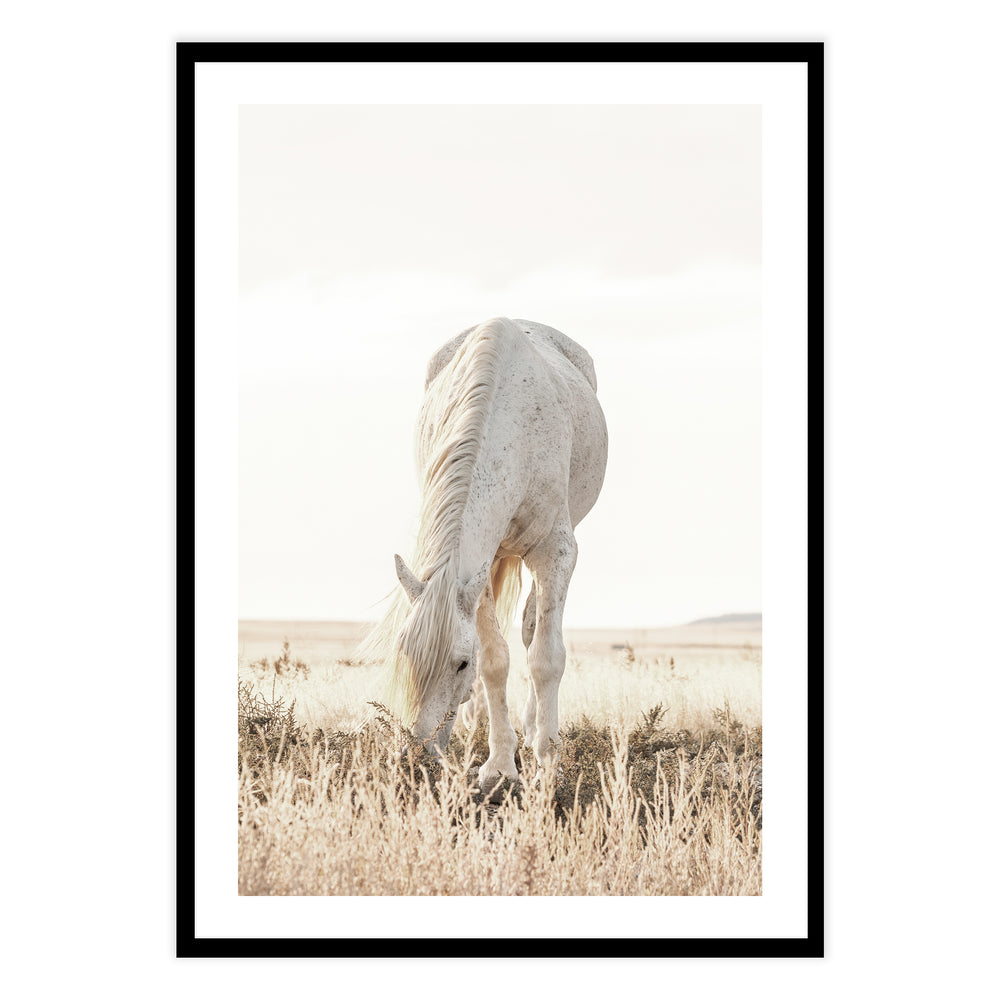 Grazing Horse Photographic Print