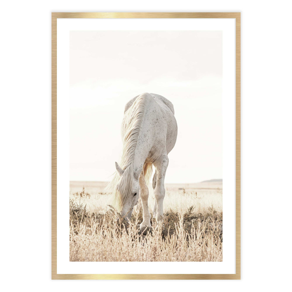 Grazing Horse Photographic Print