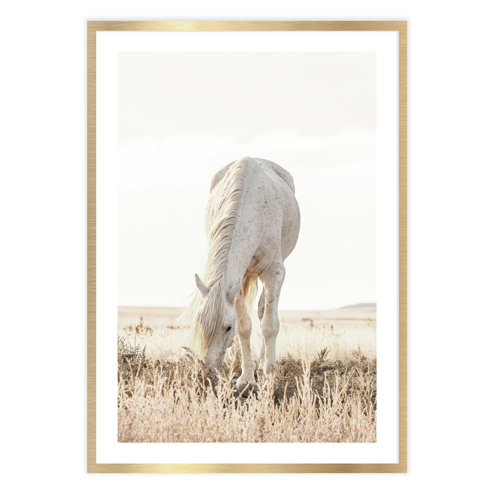 Grazing Horse Photographic Print