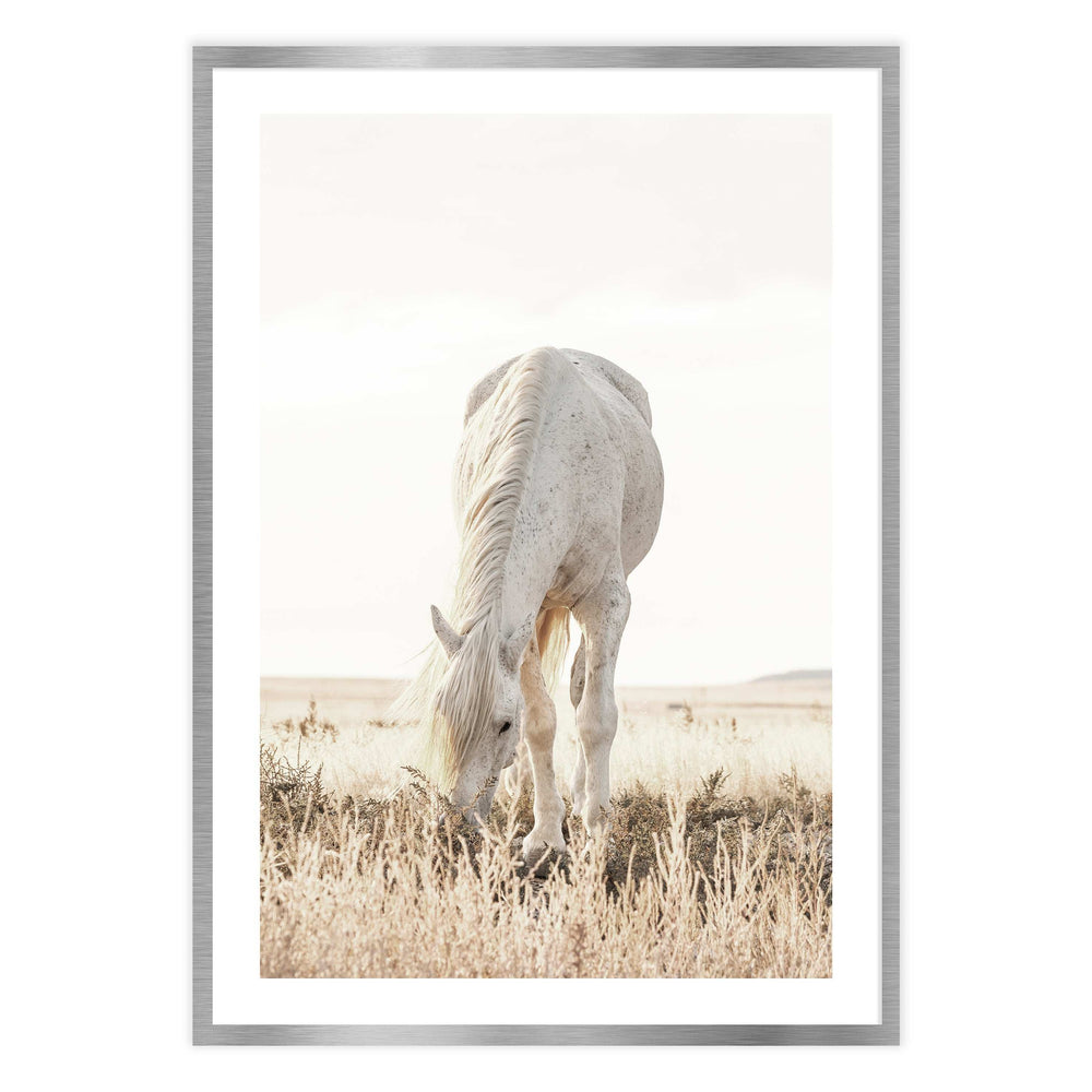 Grazing Horse Photographic Print