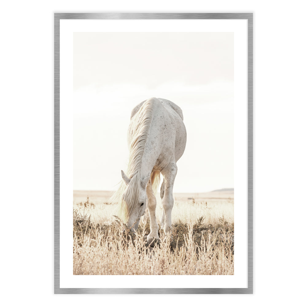 Grazing Horse Photographic Print