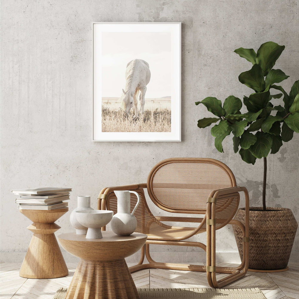 Grazing Horse Photographic Print