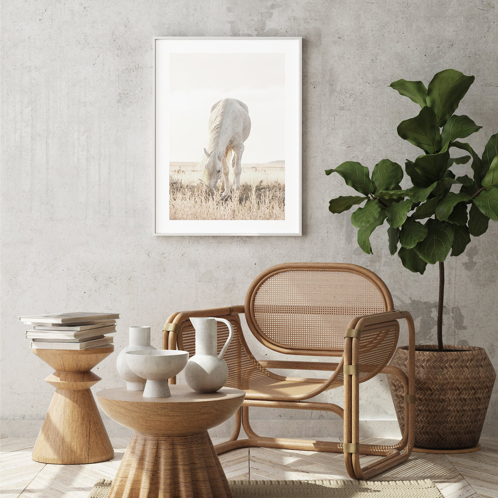 Grazing Horse Photographic Print