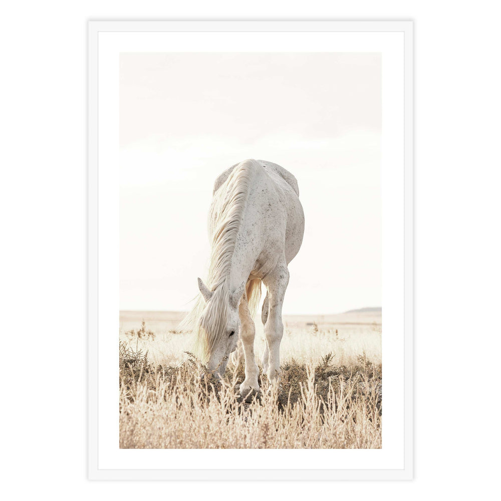Grazing Horse Photographic Print