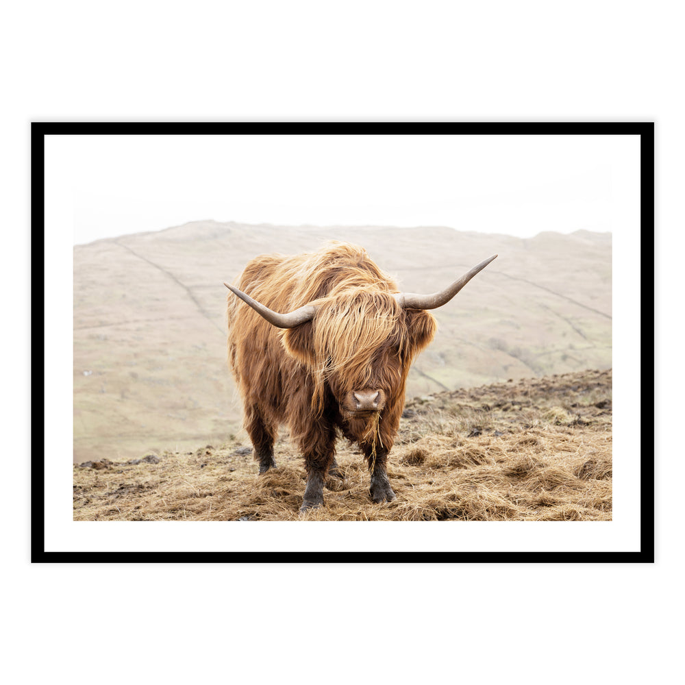 Highland Morning Photography