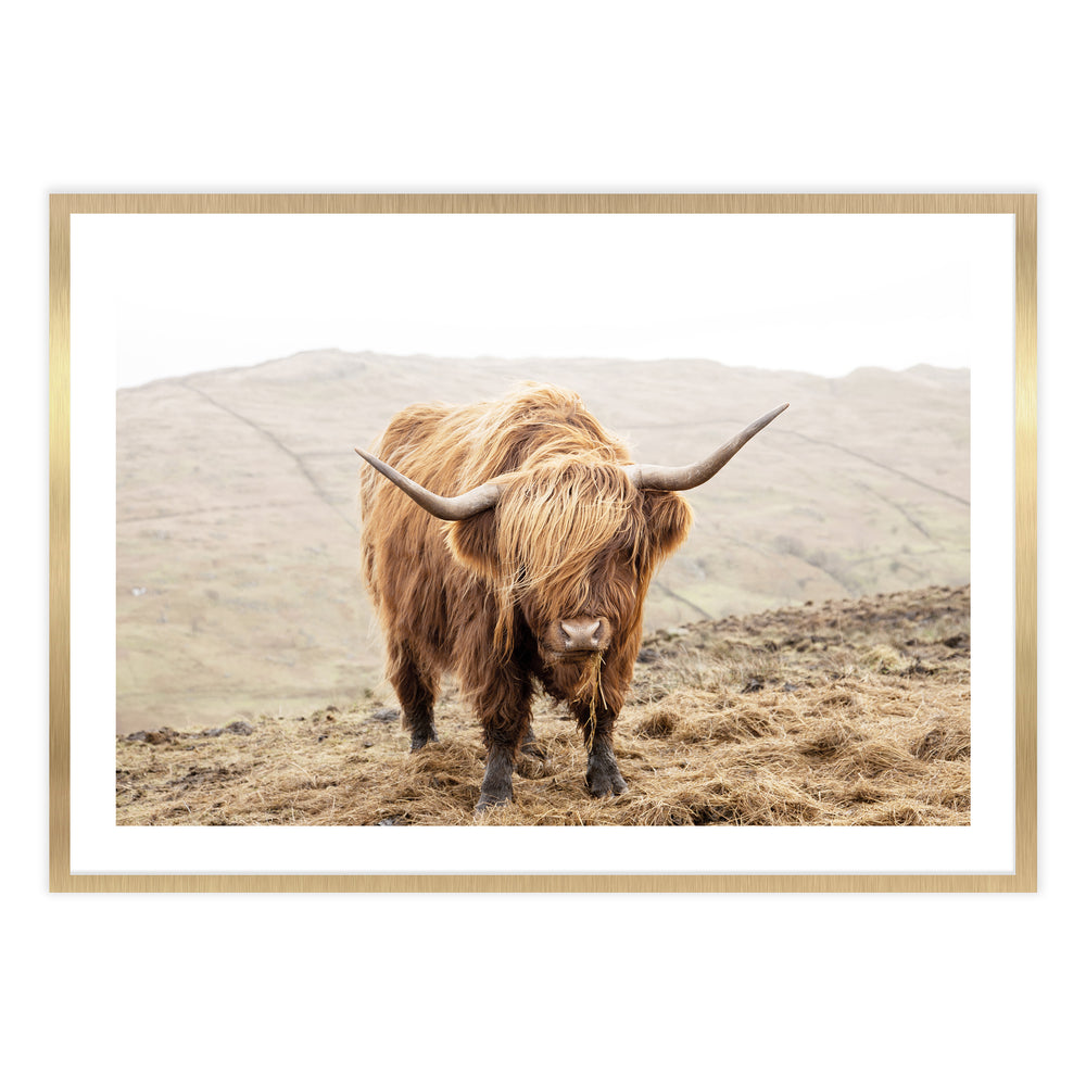 Highland Morning Photography
