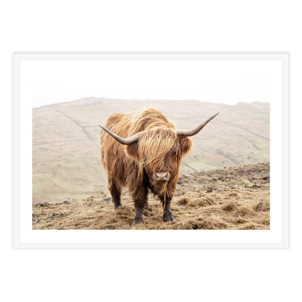 Highland Morning Photography
