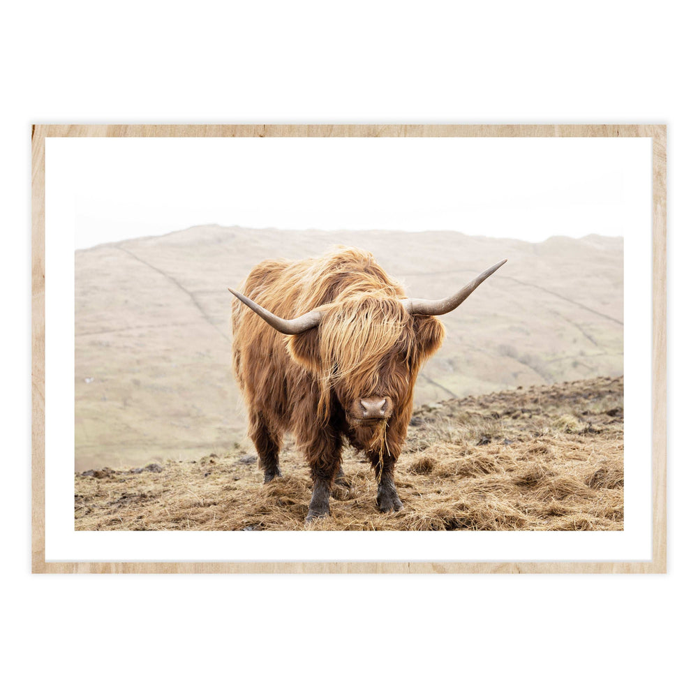 Highland Morning Photography