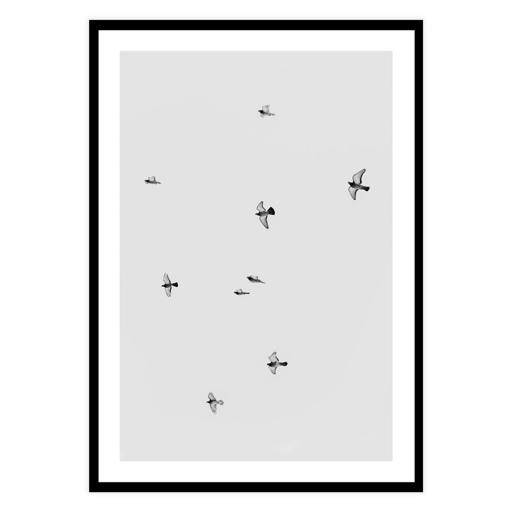 Birds in Flight Photography Wall Art