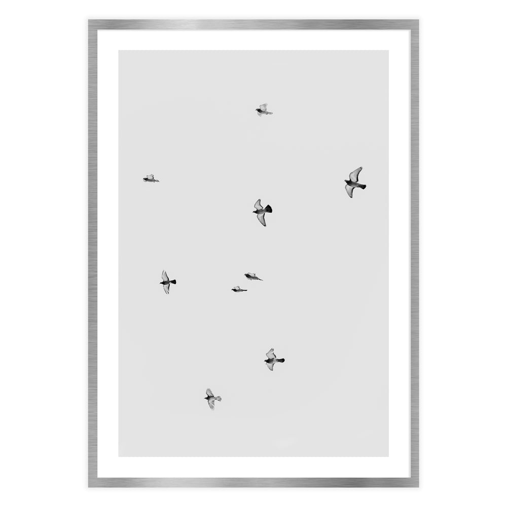 Birds in Flight Photography Wall Art