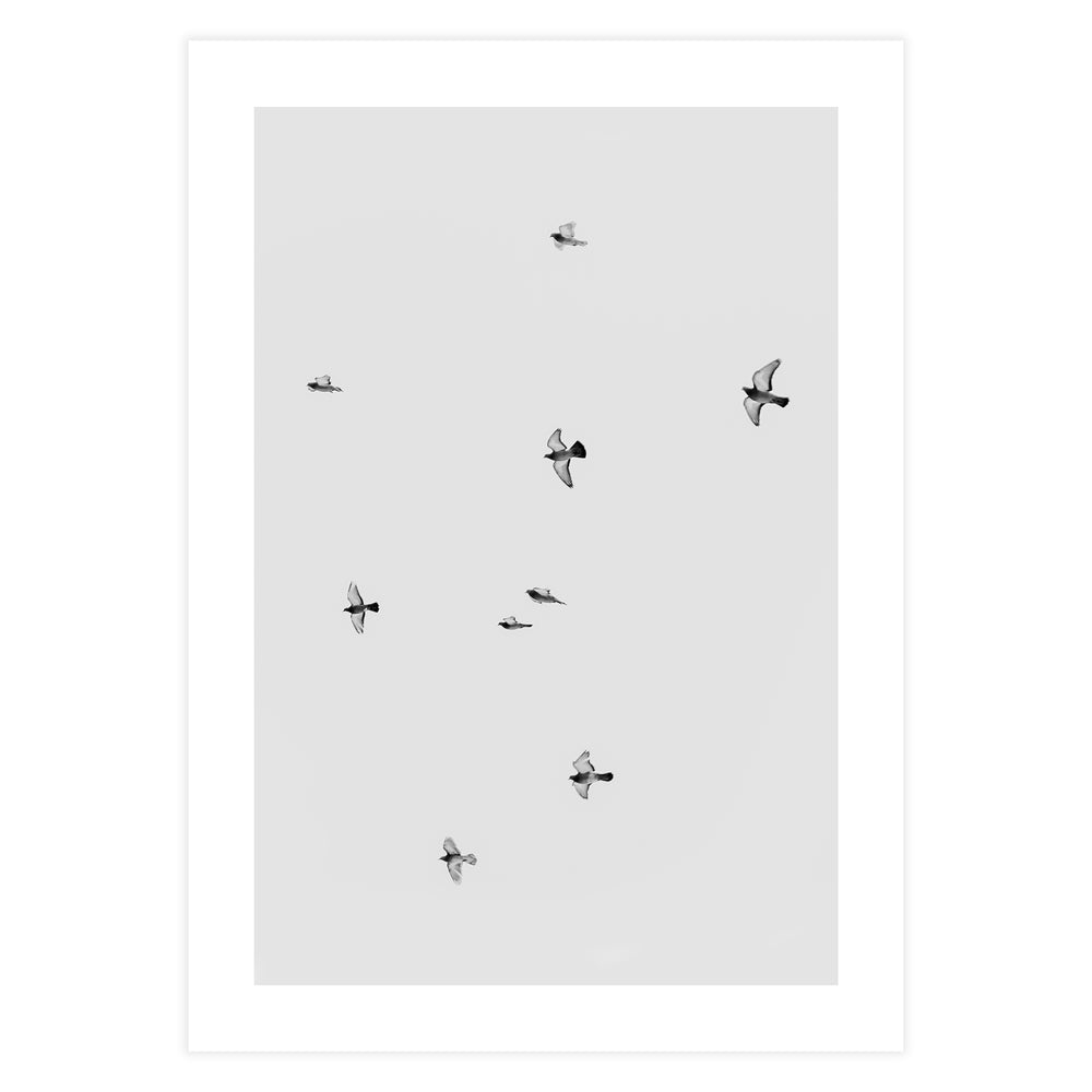 Birds in Flight Photography Wall Art