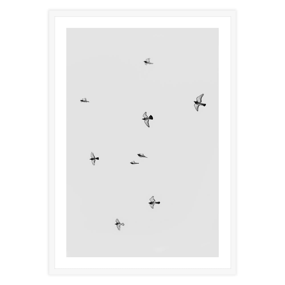 Birds in Flight Photography Wall Art