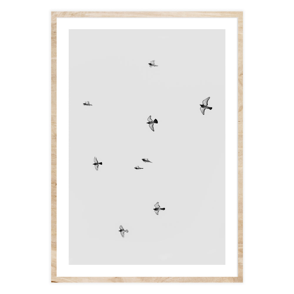 Birds in Flight Photography Wall Art