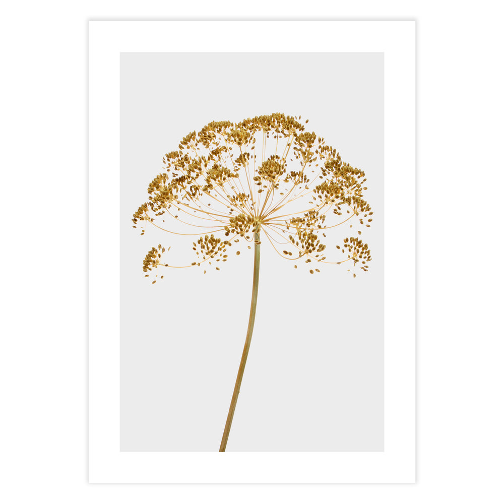 Mellow Yellow Botanic Print