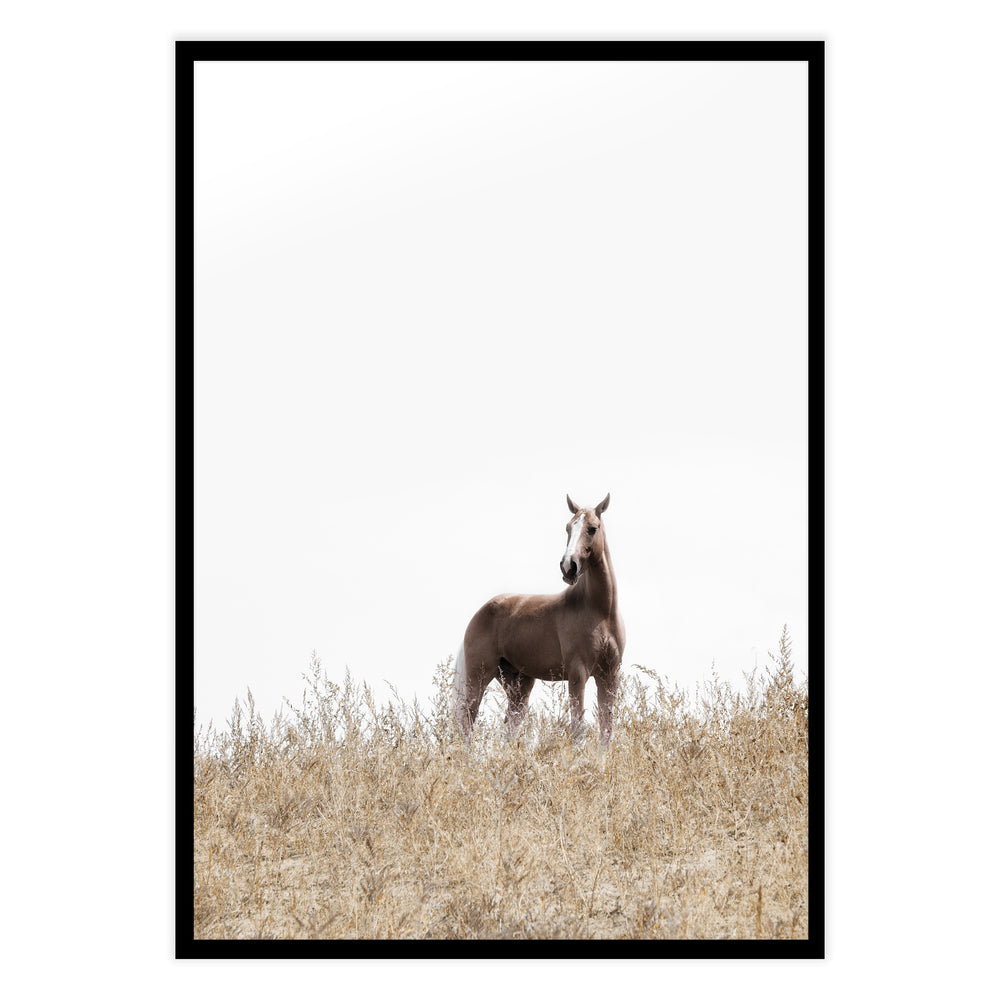 On The Ranch Photography