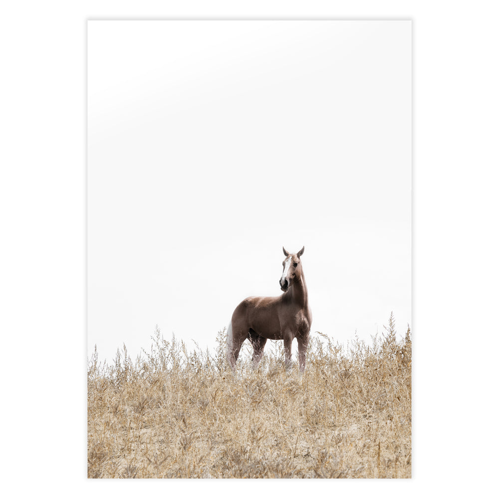 On The Ranch Photography