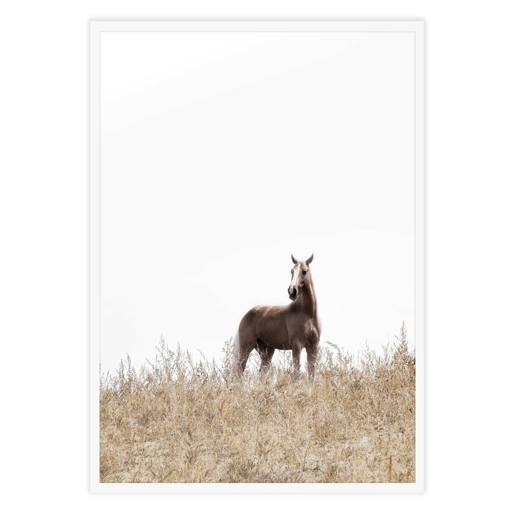 On The Ranch Photography
