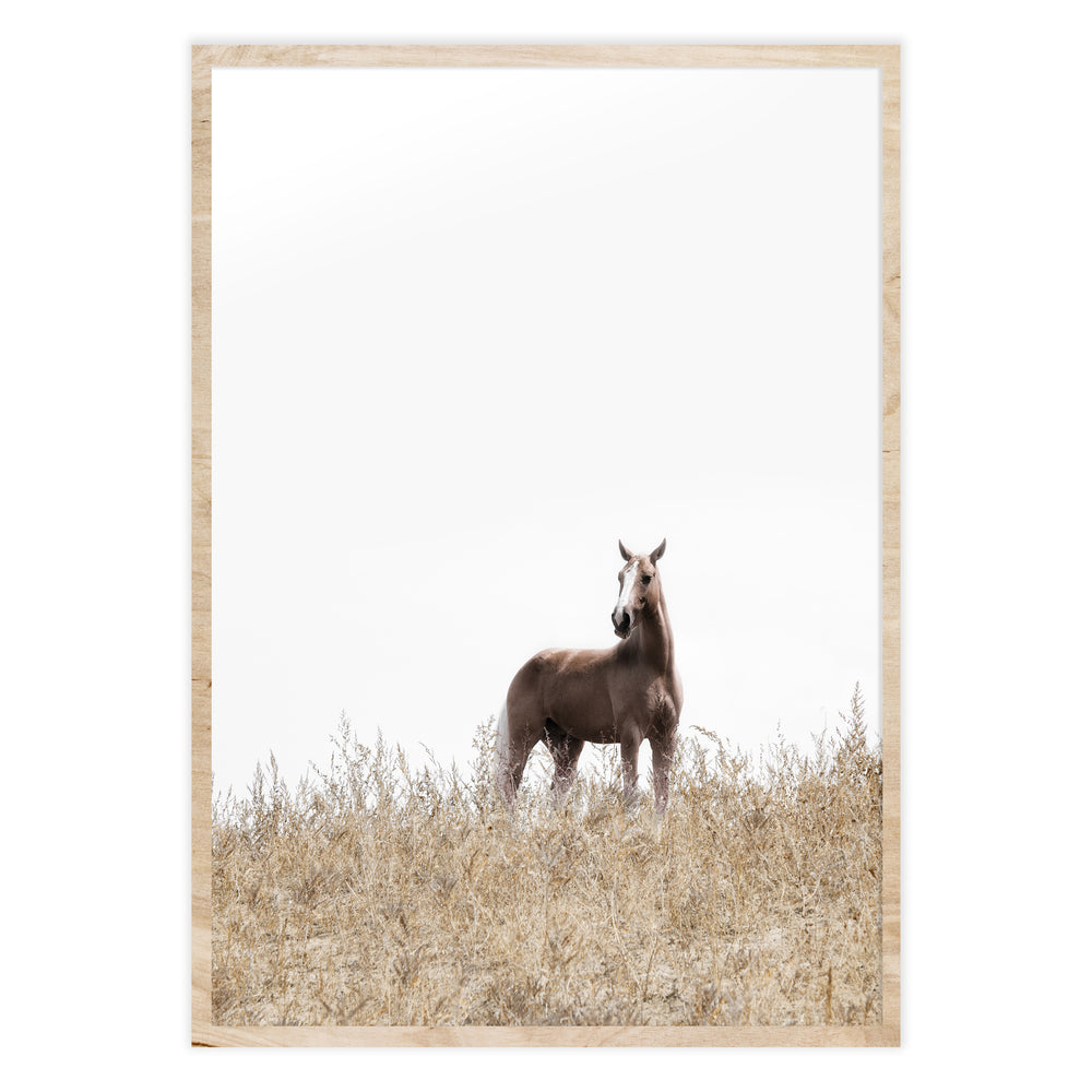 On The Ranch Photography