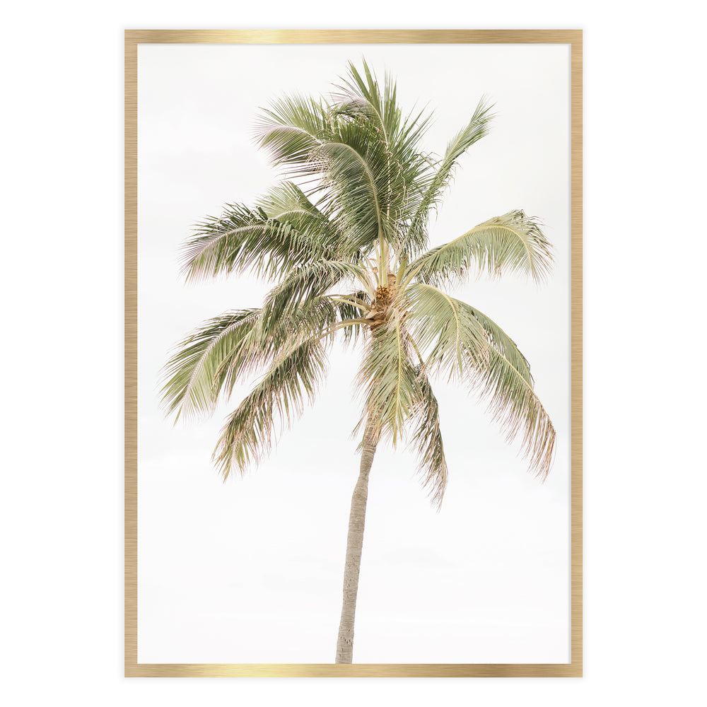 Palm Tree Photography Wall Art